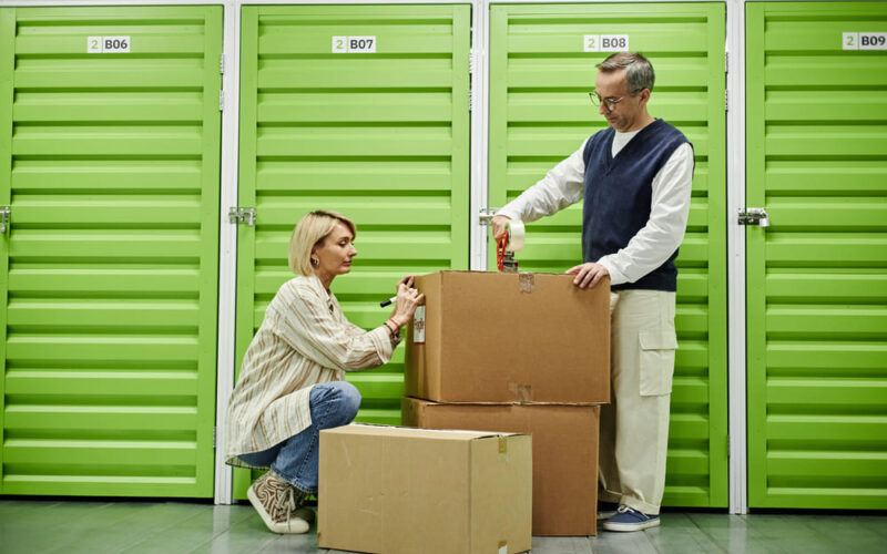 Control de plagas: el factor clave unidades de almacenamiento